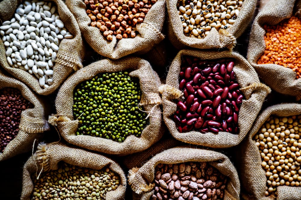 Seed Systems and Input Support
